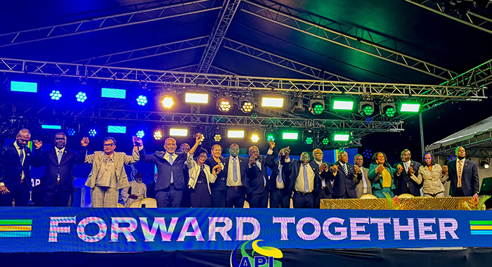 Questions about some portfolios as 17-member Cabinet sworn in