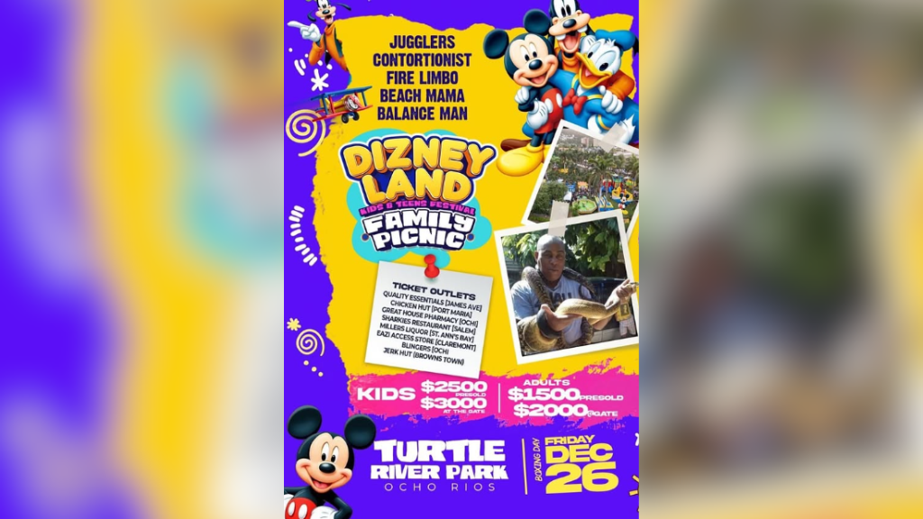 Dizneyland fun day to bring Christmas cheer to St Ann