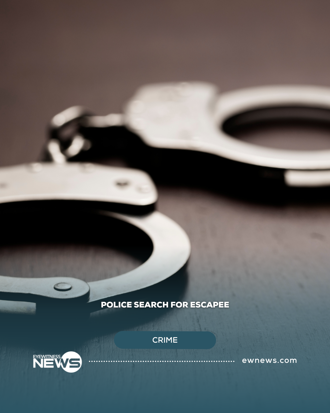 Police search for escapee