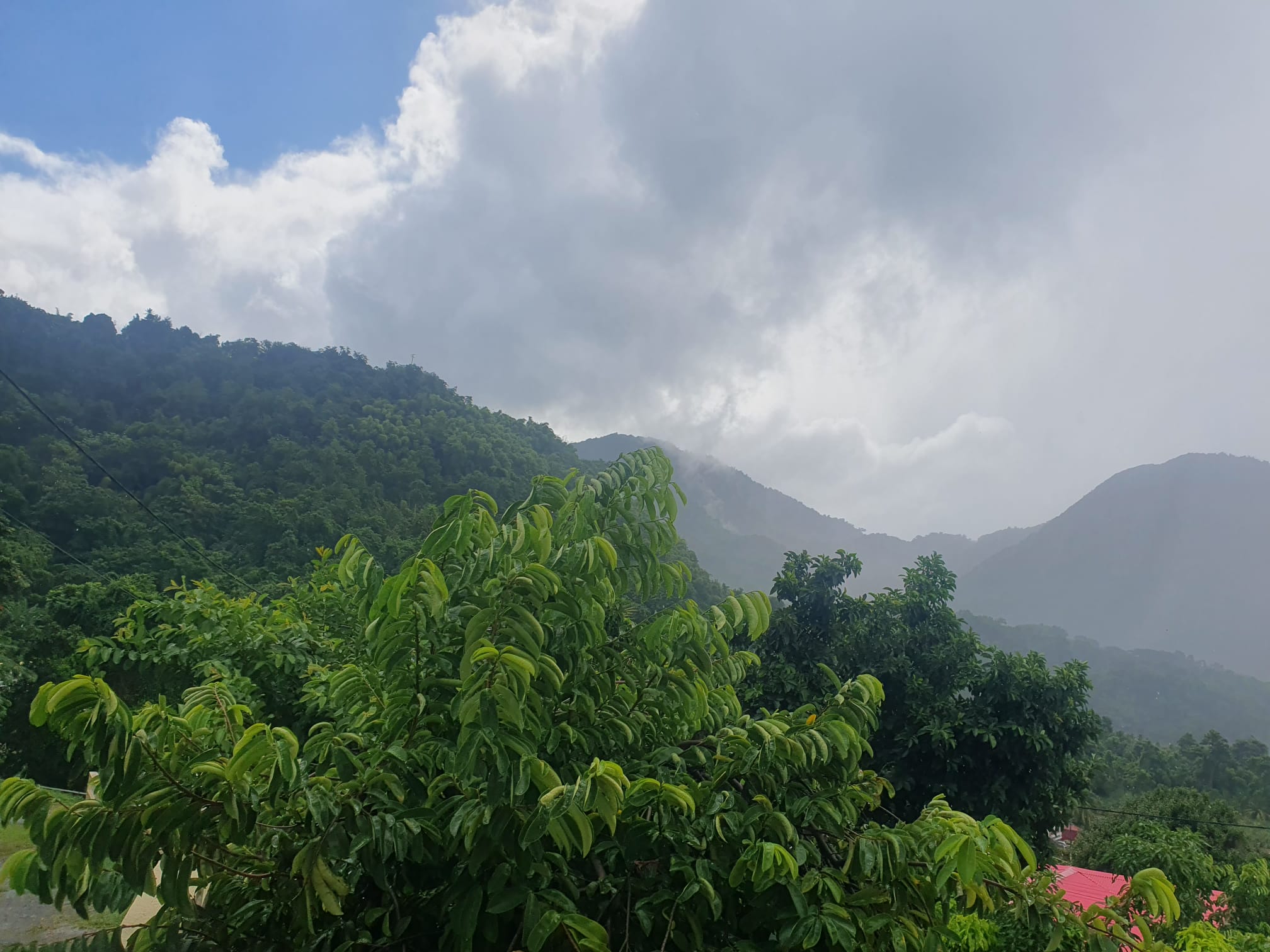 WEATHER (6:00 AM, December 05): Cloudiness, passing showers today