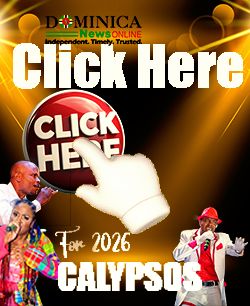 Listen to 2026 Calypso on DNO