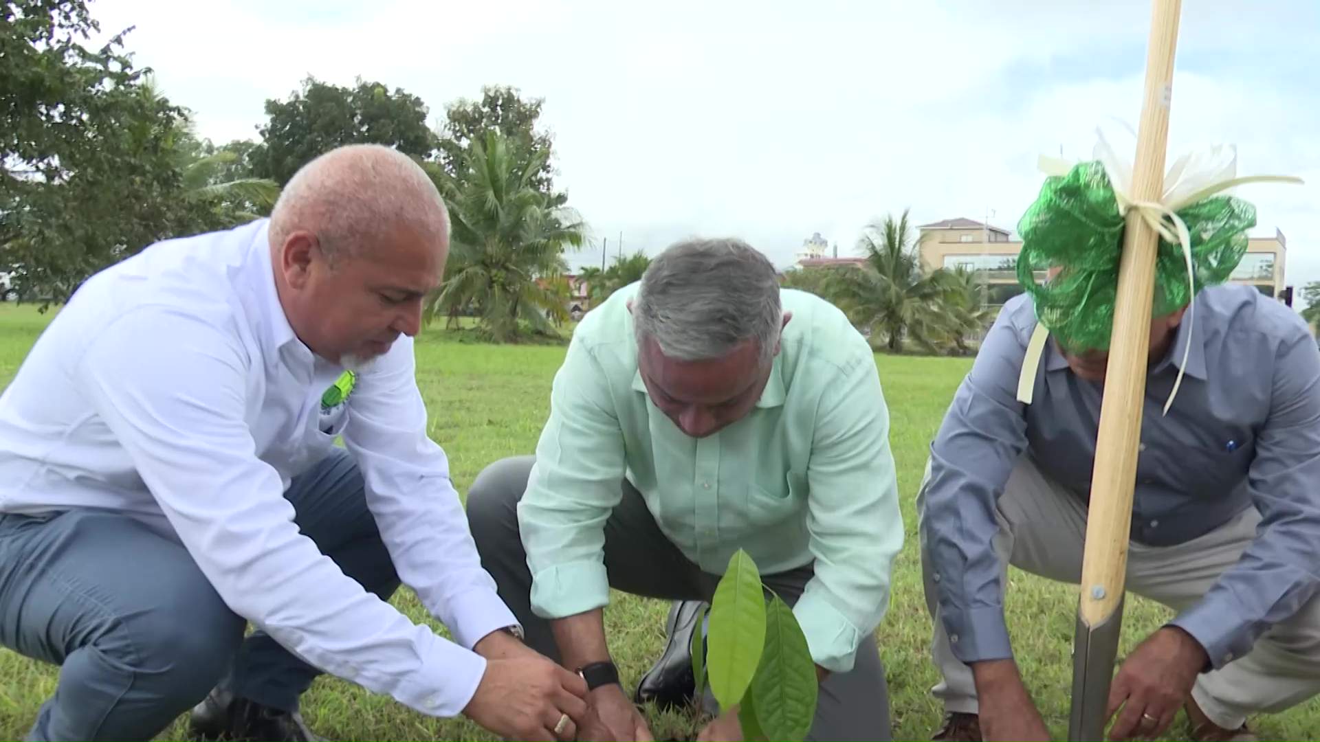 Belize, UNDP Kick Off Massive Reforestation Effort