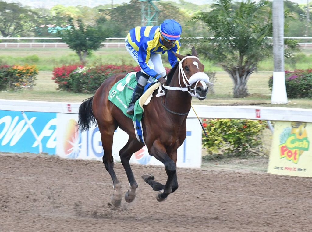 Fortuna Belle the top pick in Security Department Trophy