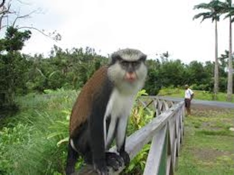 Hunting Season closed