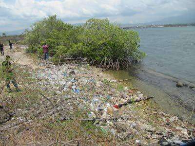 Health threat of global plastics projected to soar