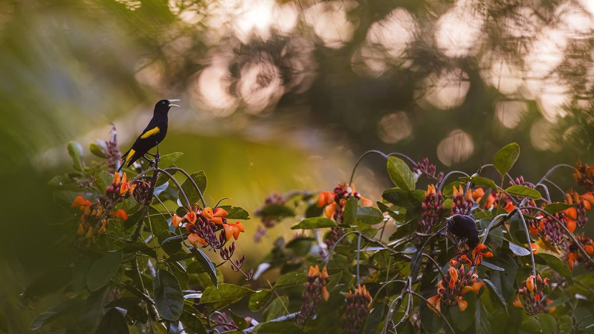 Learning from the source