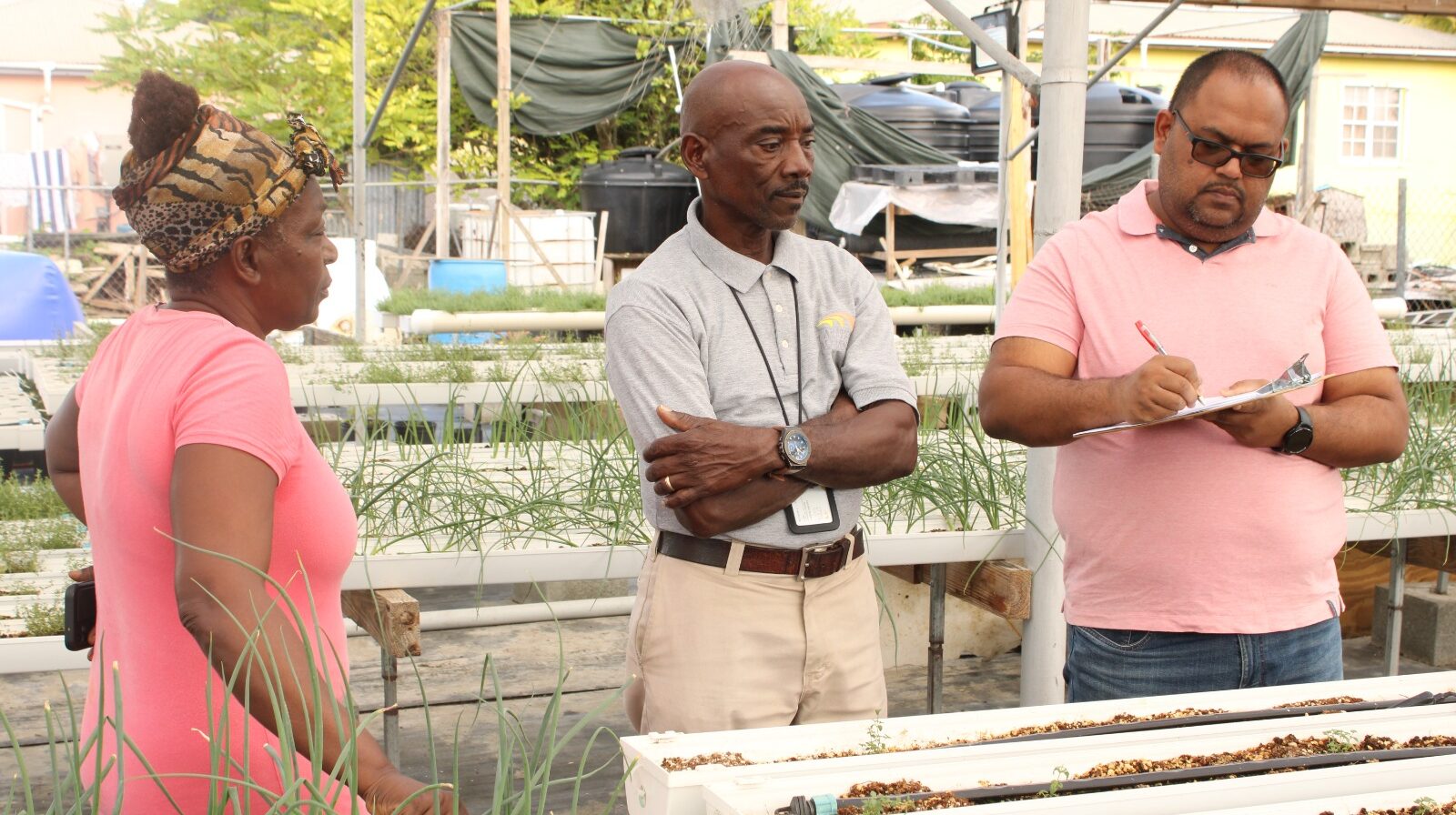 FAO helps farmers assess investment opportunities and preparedness of protected agriculture farms in Antigua and Barbuda