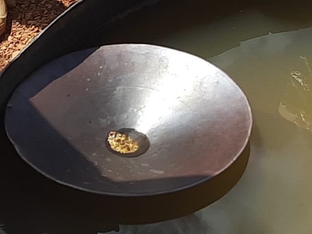 Guyana misses 2025 gold target, measures identified to increase declarations this year