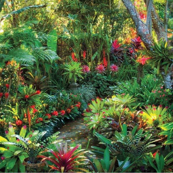 The foundation for plant growth