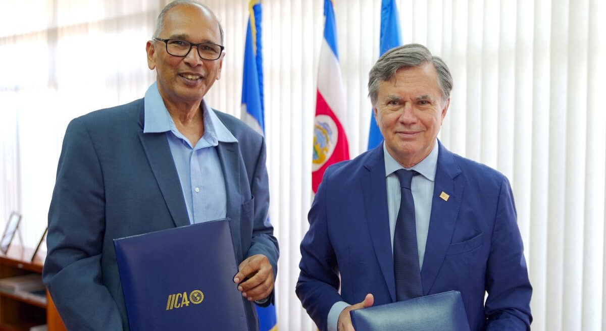 Muhammad Ibrahim to officially assume IICA’s head position this week