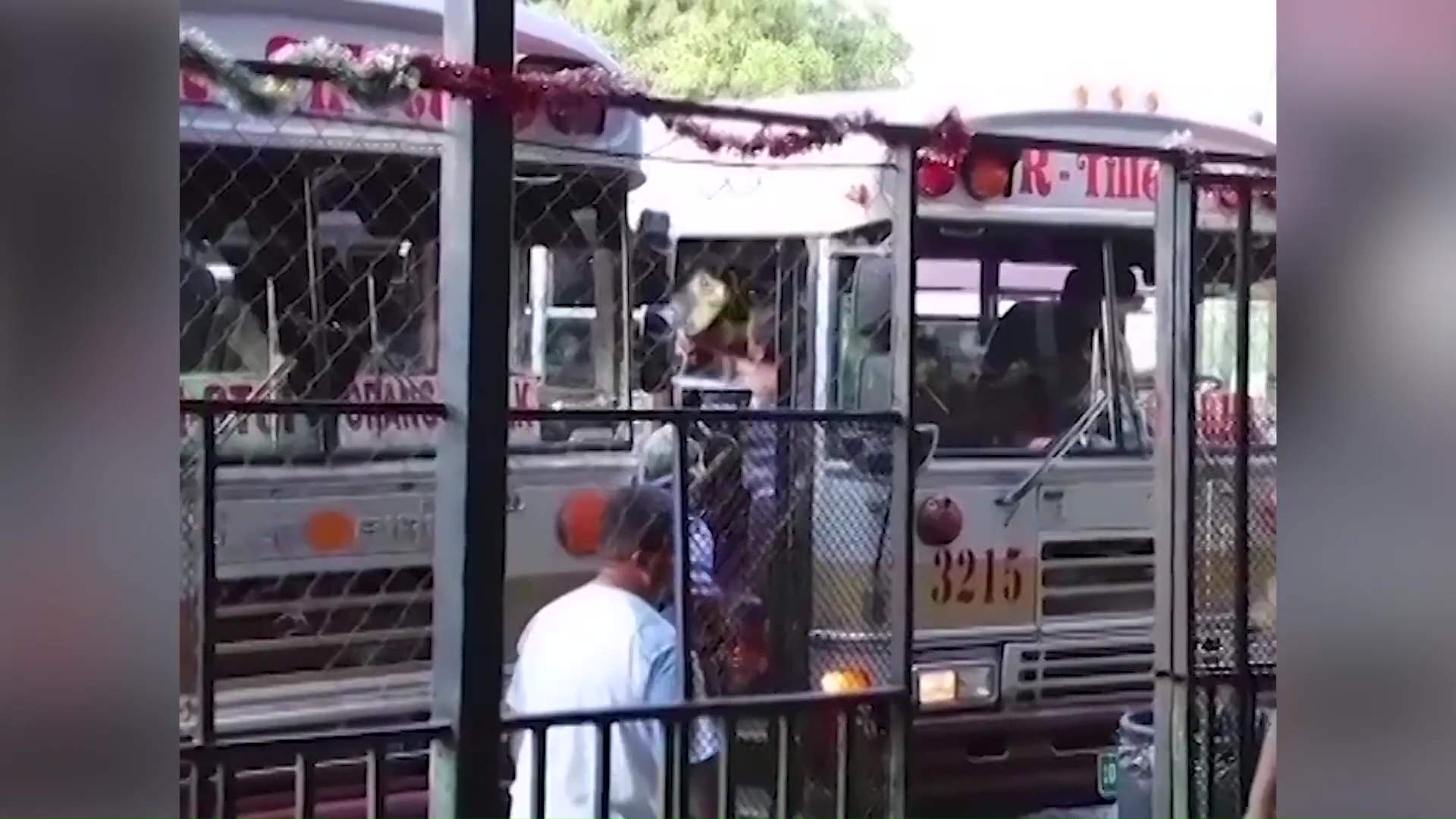 Majority of Bus Operators Buy Shares in National Bus Company