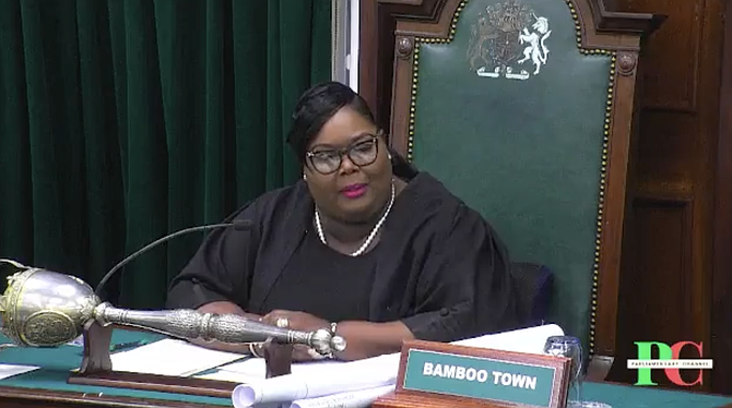 St James and Bimini seats created in boundaries report