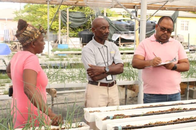 FAO helps farmers assess investment opportunities and preparedness of protected agriculture farms in Antigua and Barbuda