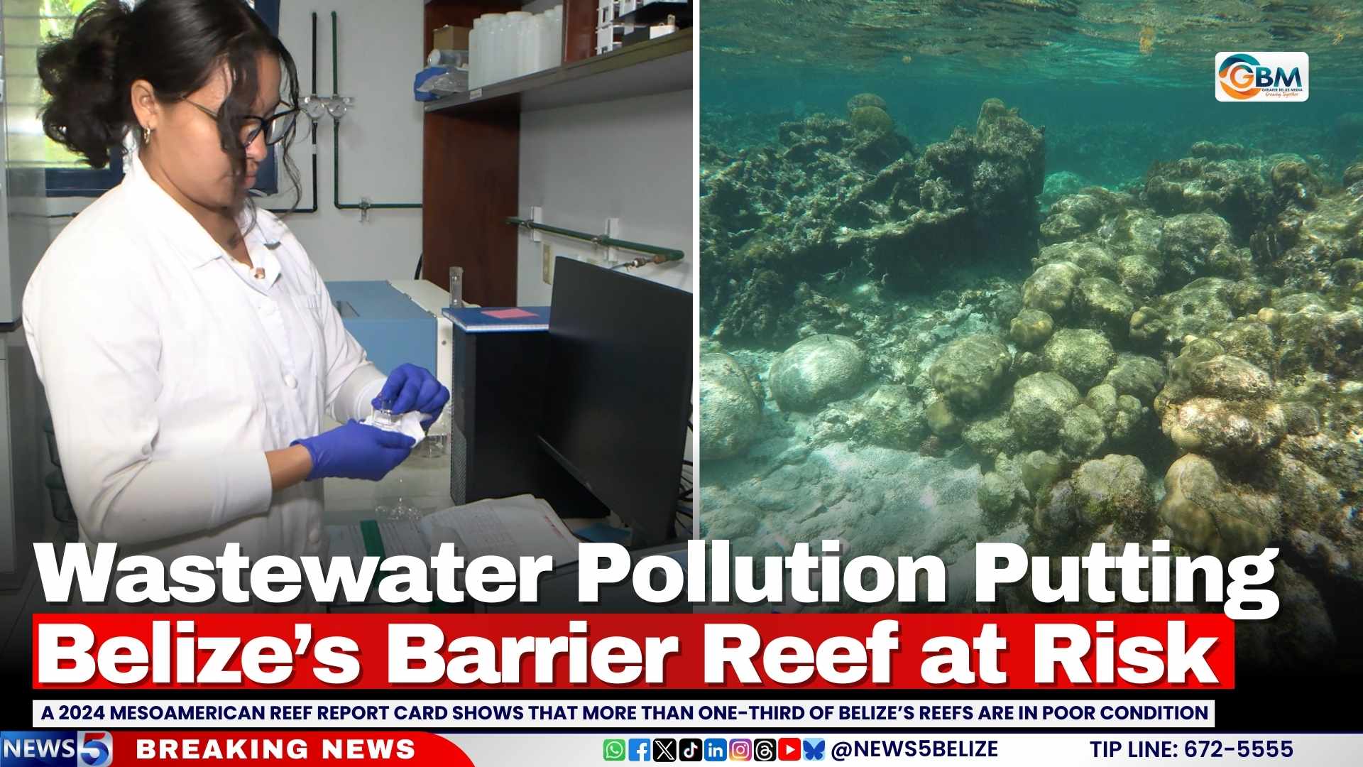 Wastewater Pollution Putting Belize’s Barrier Reef at Risk