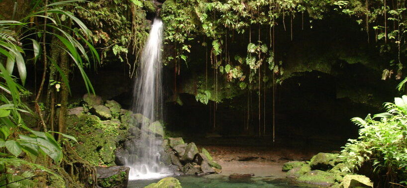 Three winning students to be awarded by Dominica Community Tourism Association in essay contest