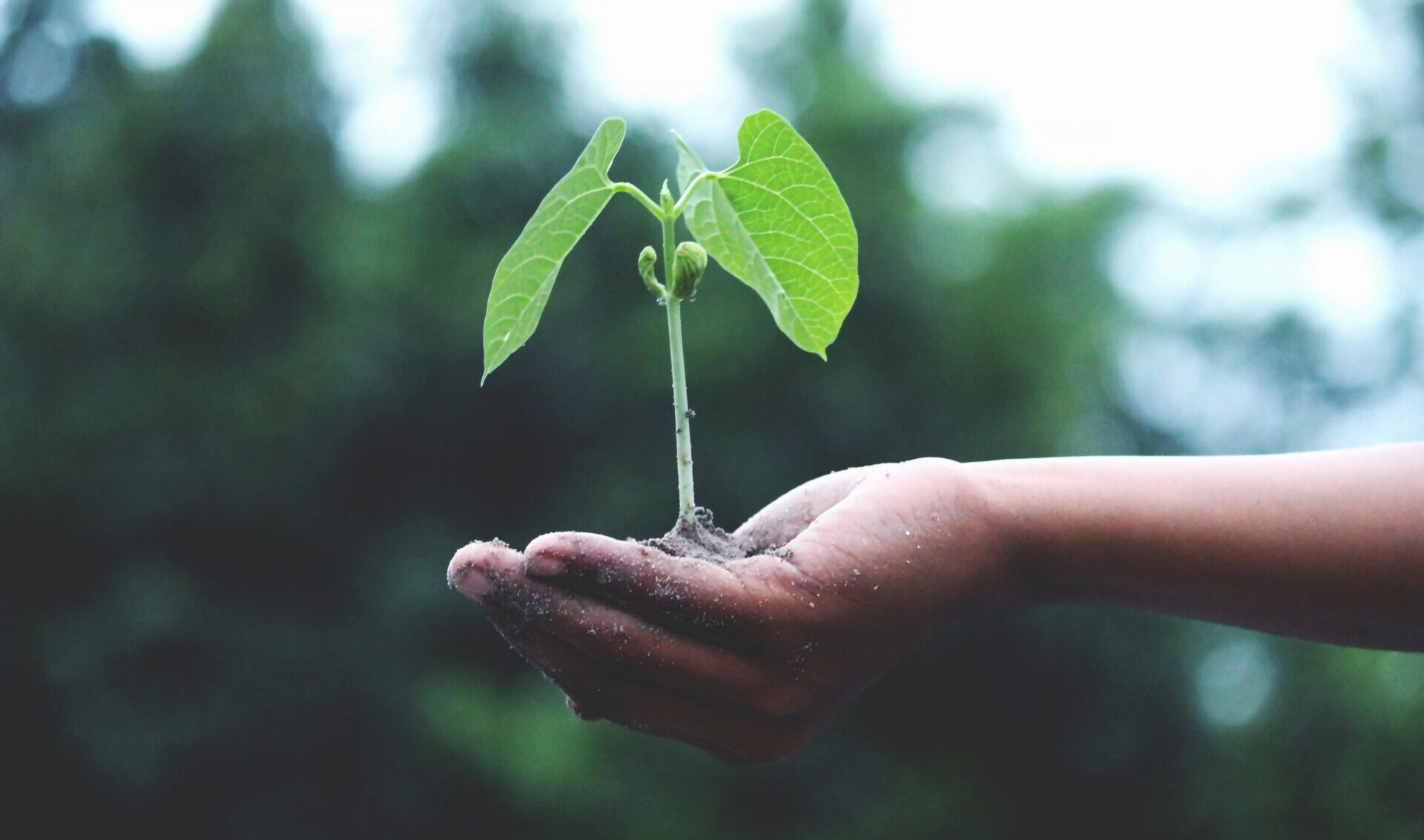 Project Steering Committee launches for community resilience initiative in Kalinago Territory