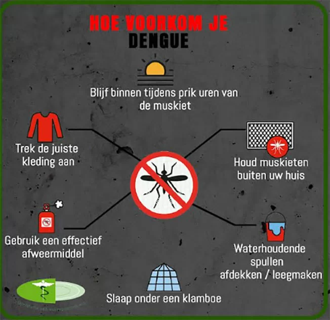 Chikungunya-uitbraak bevestigd in Suriname: volksgezondheidsautoriteiten waarschuwen bevolking