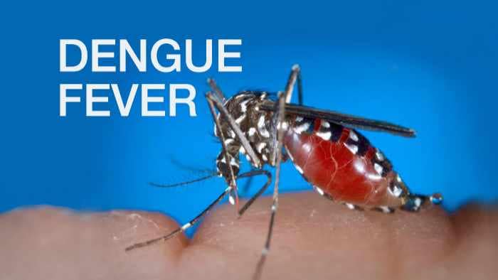 Residents raise alarm over possible dengue surge as officials deny outbreak