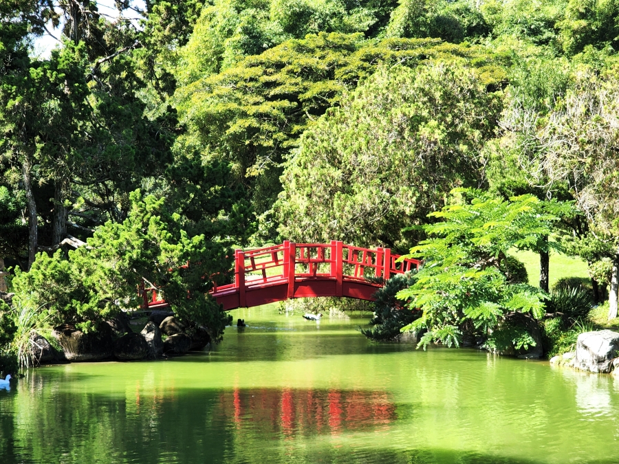 National Botanical Garden releases Volume 22 of Moscosoa Scientific Journal