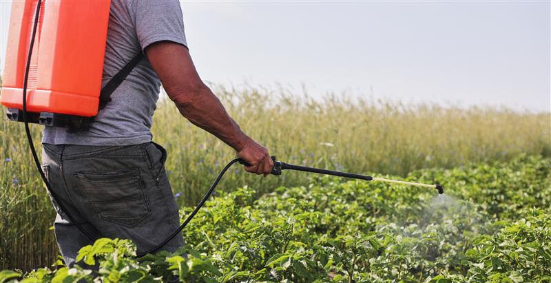 CARICOM and partners launch multi-tiered online training in crop protection for regional stakeholders