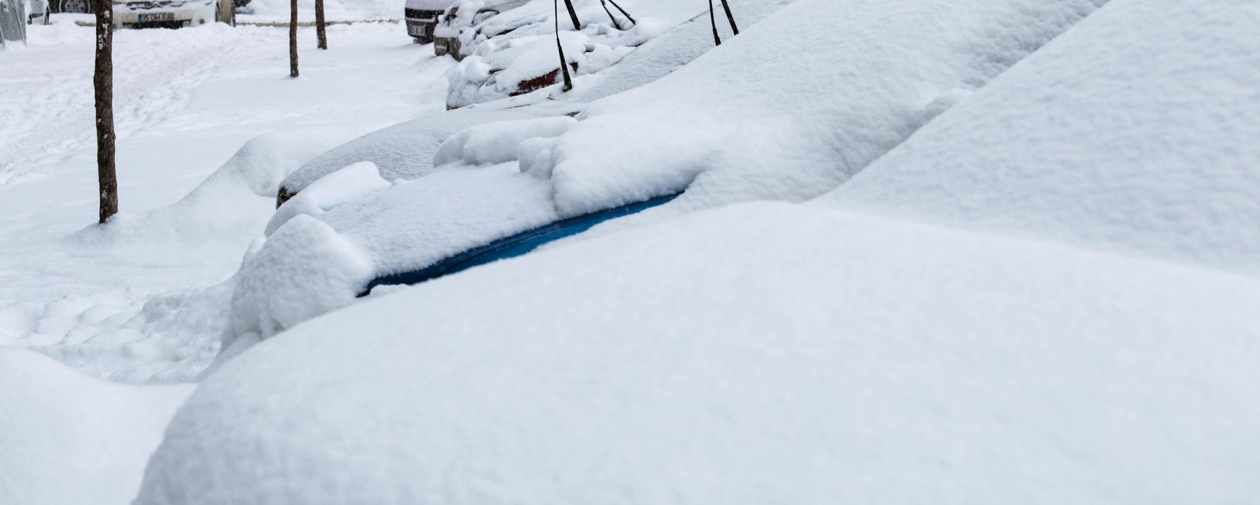Winter storm cancels 89 flights between U.S. and Dominican Republic