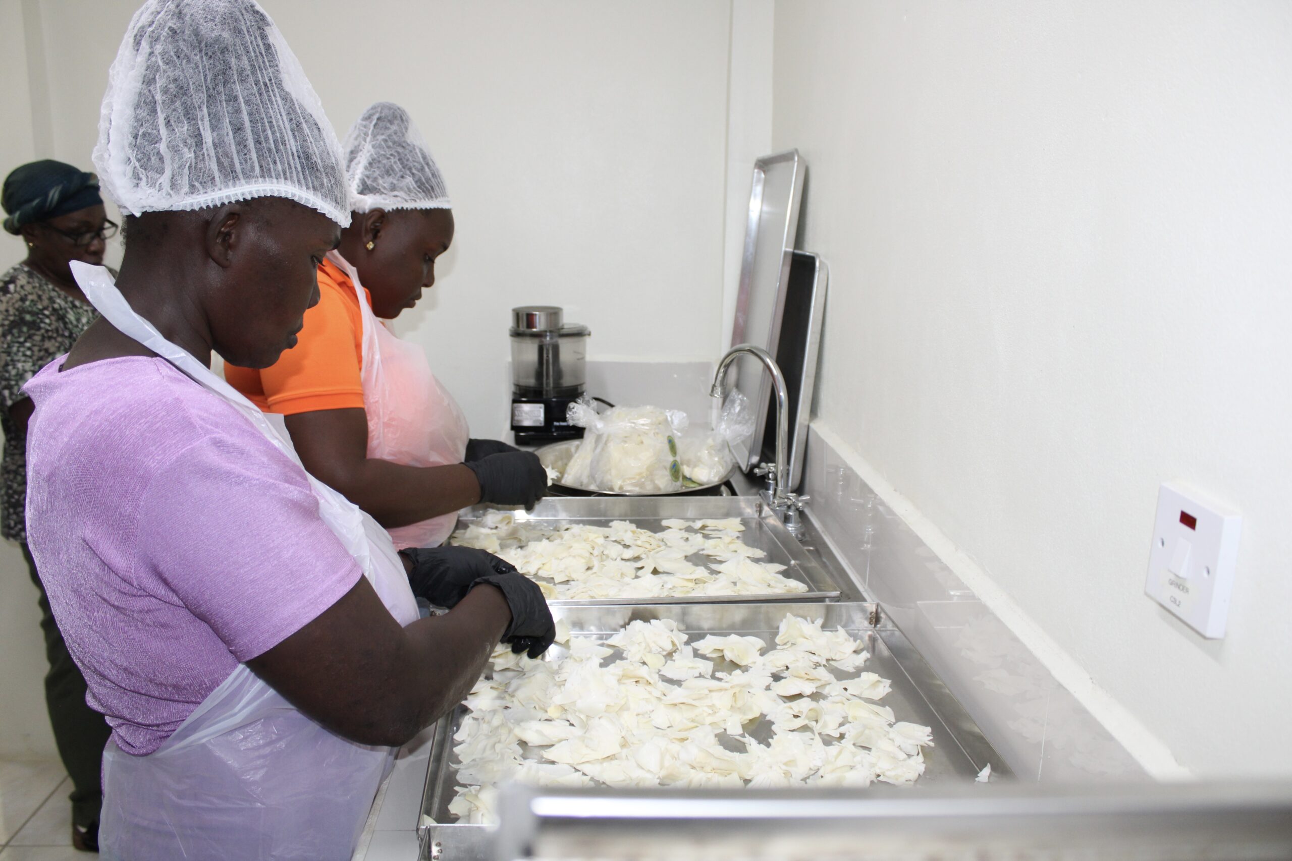 OCOP Saint Lucia: Building Sustainable Livelihoods, One Community at a Time