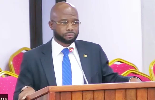 Chikungunya-uitbraak: 134 bevestigde besmettingen, één overlijden gemeld