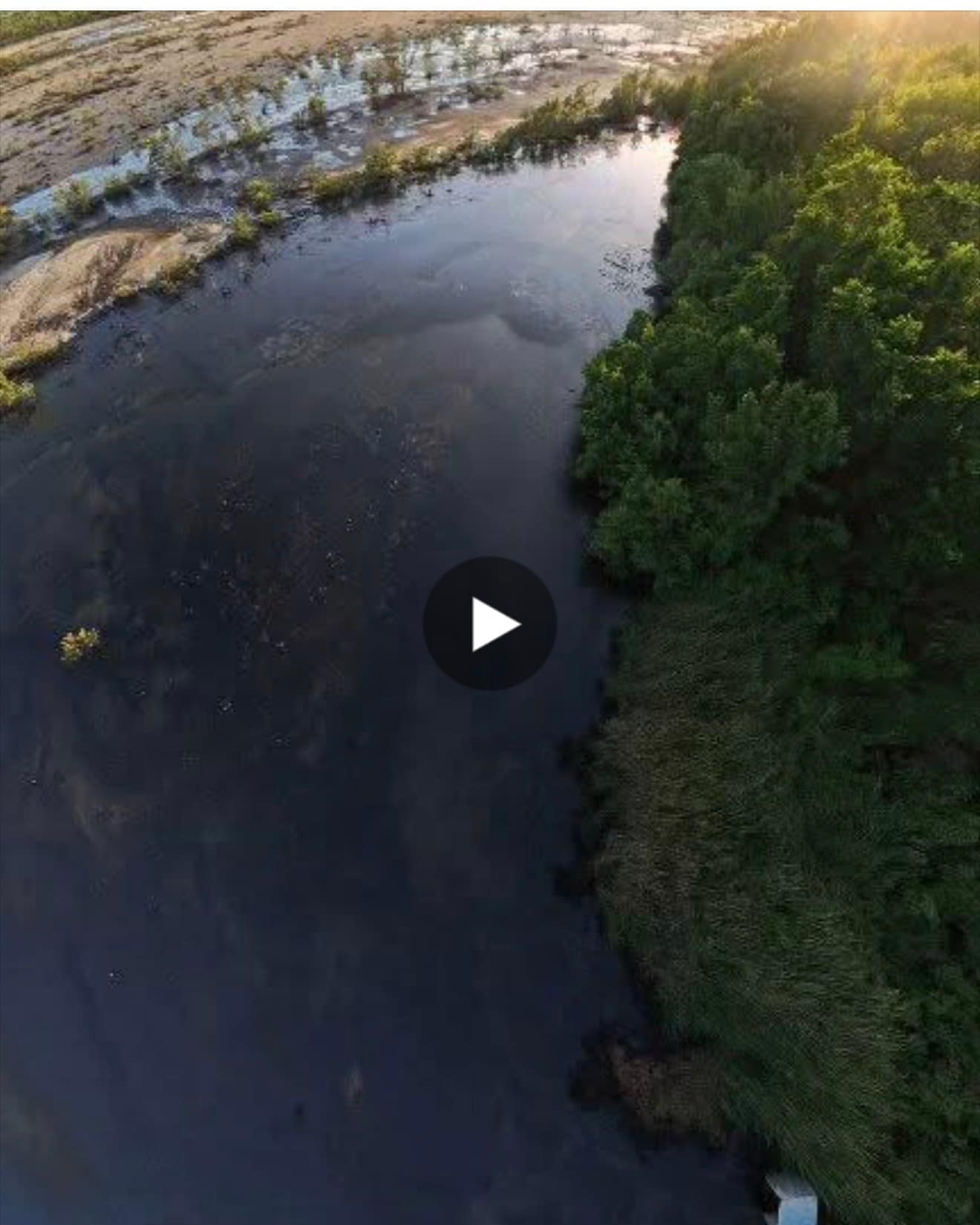 Update on Leakage of Contaminants from Cooks Landfill