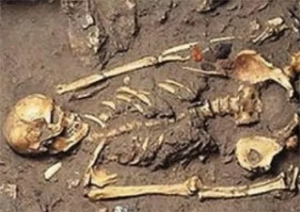 Skelet aangetroffen langs zijweg van Javaweg in Lelydorp