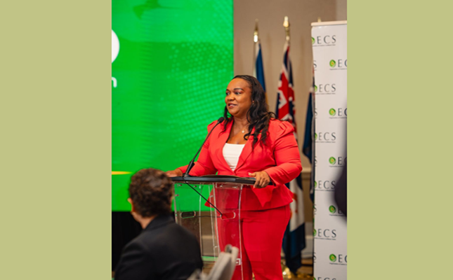 Minister Henderson assumes Chairmanship of the OECS Council of Ministers for Tourism at 9th Meeting in St. Kitts