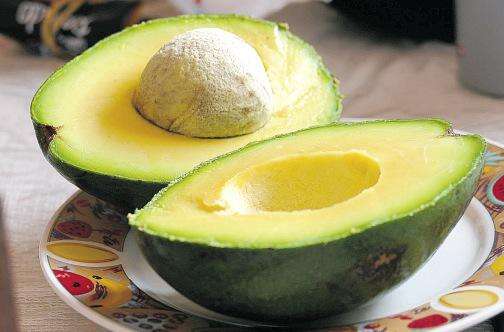 Jamaica to produce avocados year-round with new grafting process