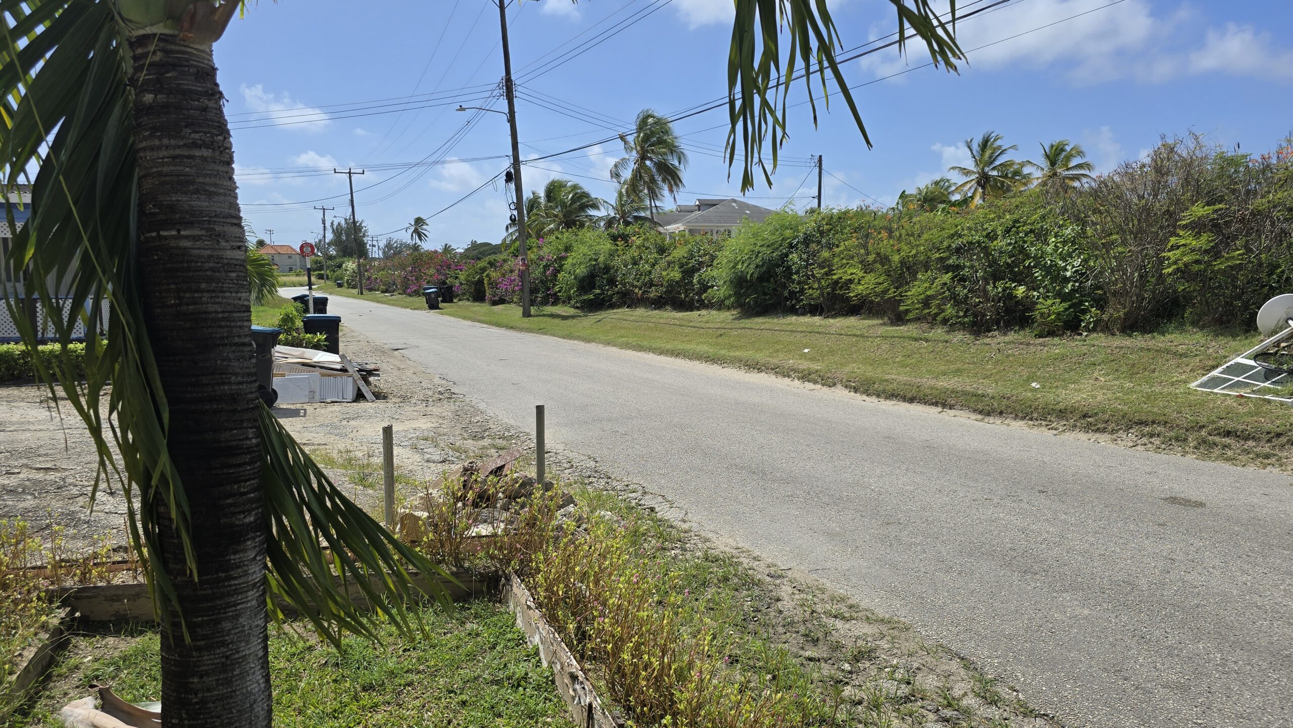 ‘Crowded ballot’: St Philip voters say candidates missing from campaign trail