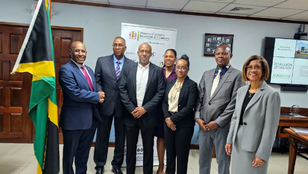 Derillion Group to establish high-voltage battery plant in St Catherine