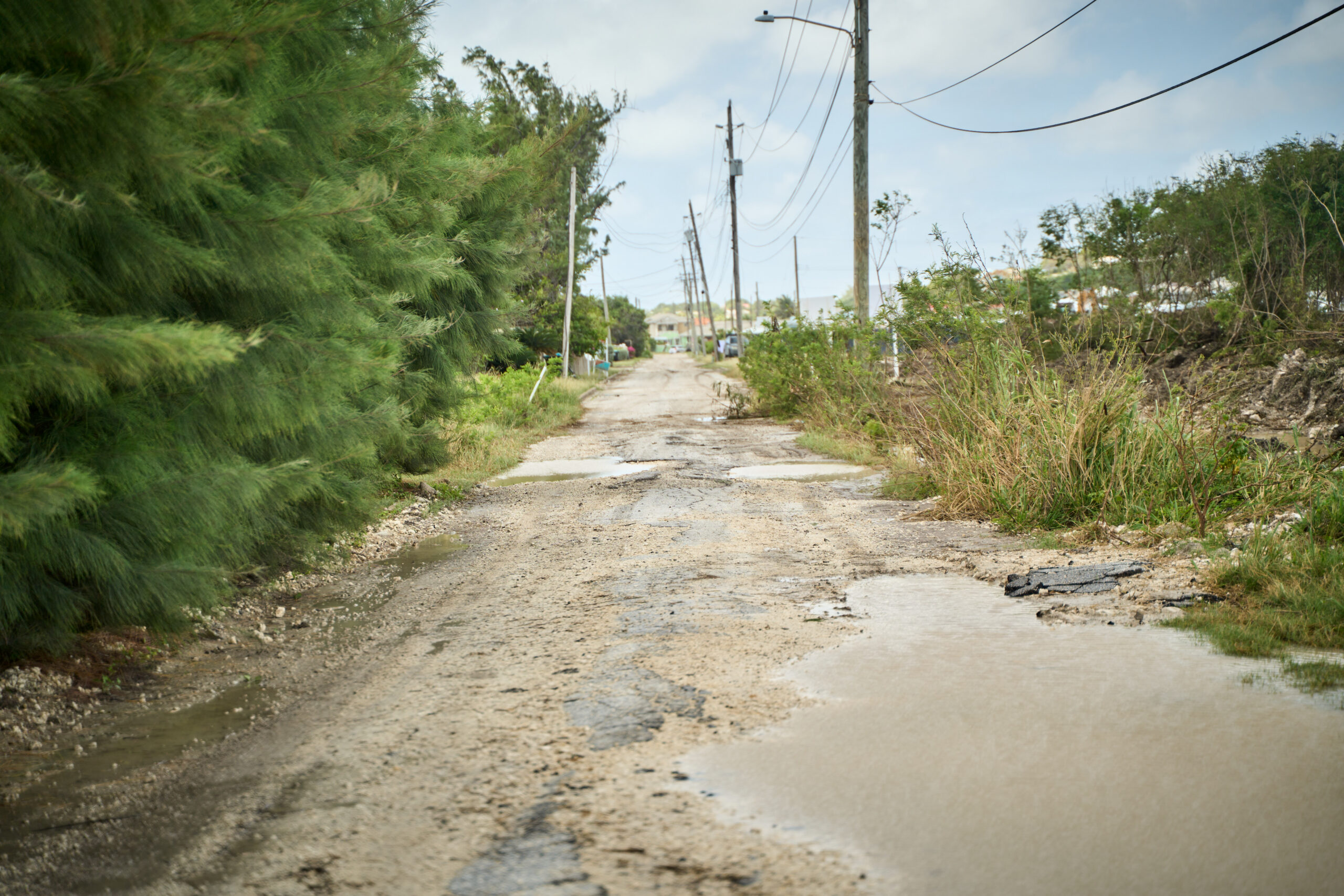 Four-way showdown in Christ Church East Central