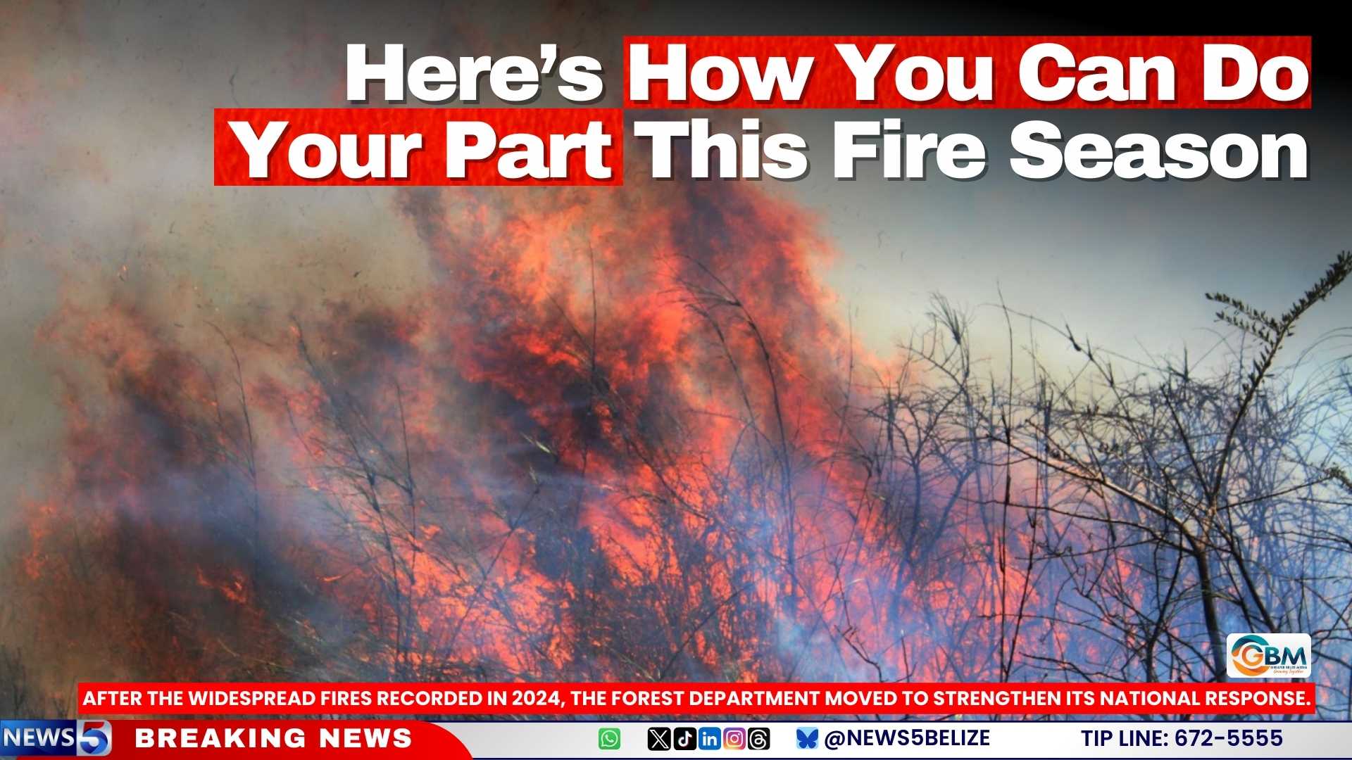 Here’s How You Can Do Your Part This Fire Season