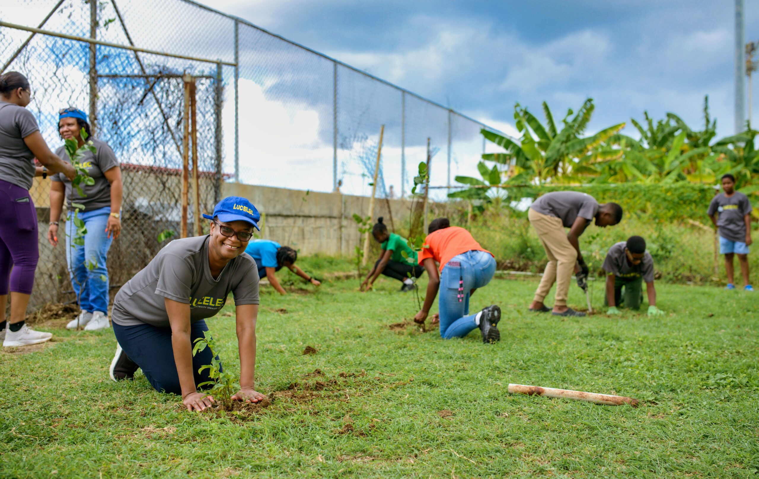 LUCELEC employees power a greener future