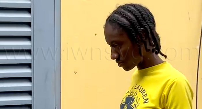 VIDEO: Teen charged over stabbing of Alia McDowall