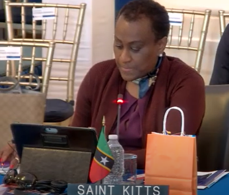 SKN highlights challenges associated with rare diseases in the region