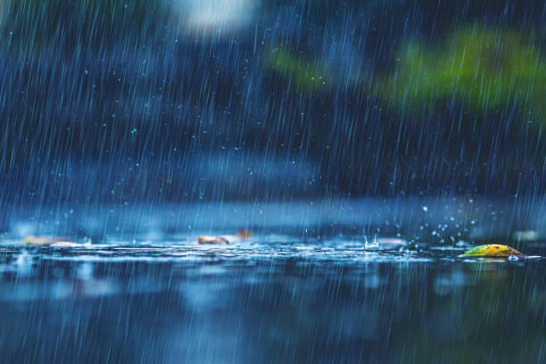 Increased rainfall expected this weekend