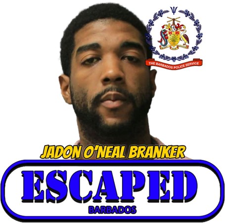 Escaped prisoner surrenders to police