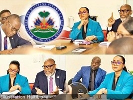 Elections : New political dynamic to include the diaspora in the democratic process