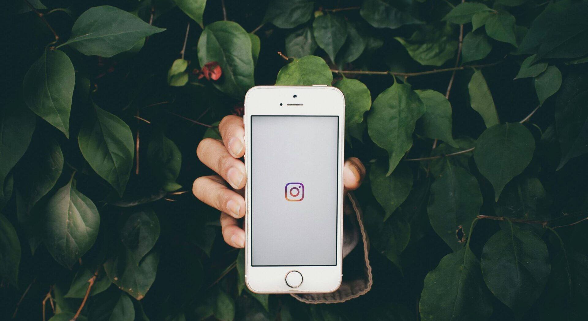 OP-ED: The digital ecosystem