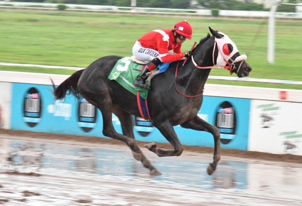 Supernatural Power, Funcaandun go head to head at Caymanas Park