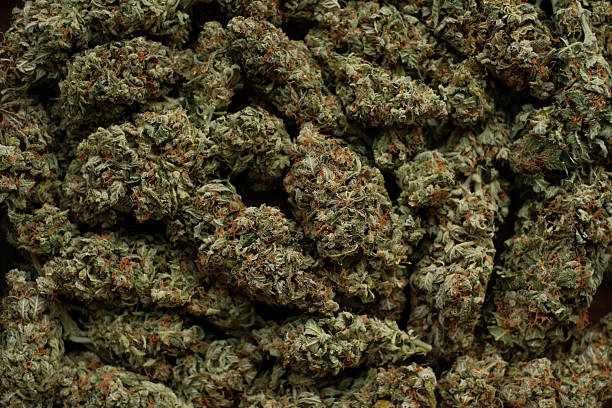 Cashier fined for ganja seizure at Kingston casino