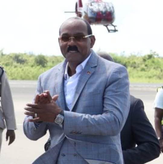 BREAKING: PM Browne Prevails in U.S. Appeals Court in Alfa Nero Matter
