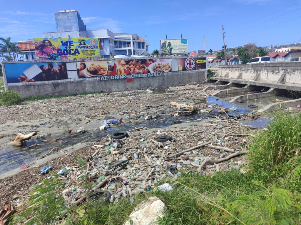 NSWMA to do one-time cleaning of MoBay South Gully
