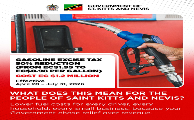 Government Slashes Fuel Taxes and Expands Duty-Free Energy Equipment to Ease Burden on Citizens