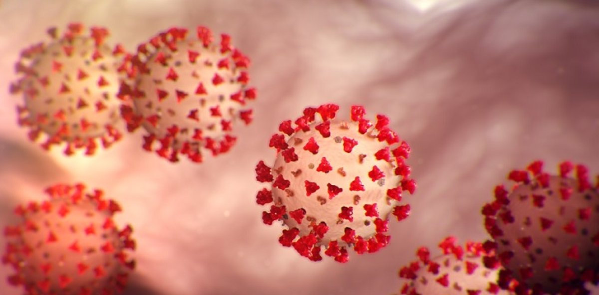 Is there evidence or not? What Public Health says about the alleged circulation of a new COVID-19 variant in the Dominican Republic