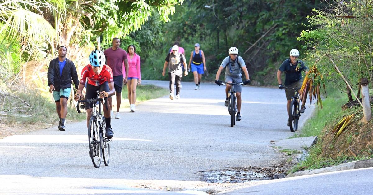 Woman bitten by dogs on Lady Chancellor