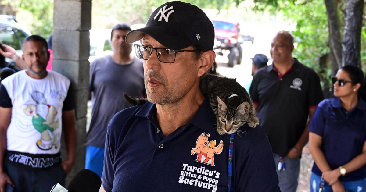 ‘THREATS’ TO STRAY CATS